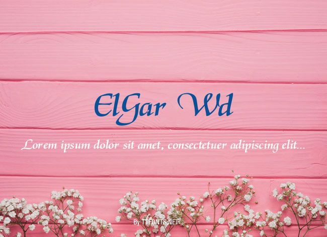 ElGar Wd example